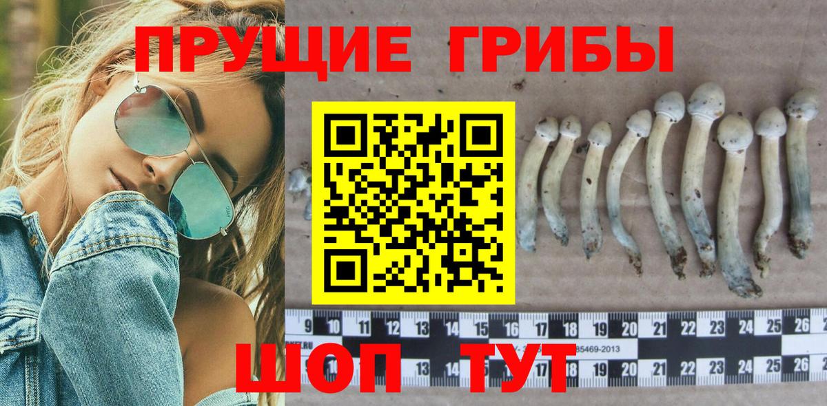 Костомукша  даркнет сайт  Вход с VPN  Псилоцибиновые грибы мицелий  Псилоцибиновые грибы прущие грибы 